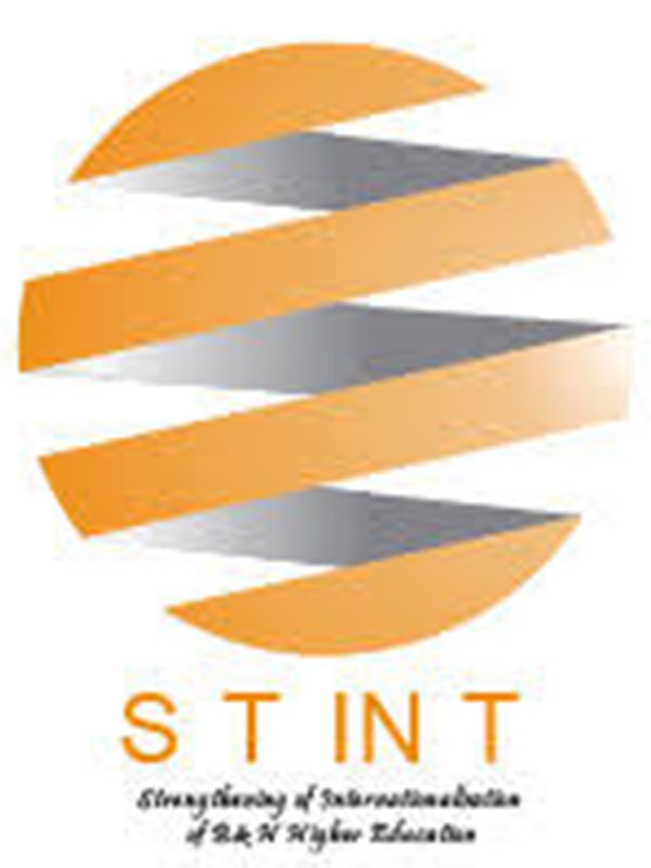 STINT logo