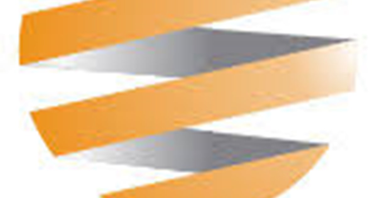 STINT - logo