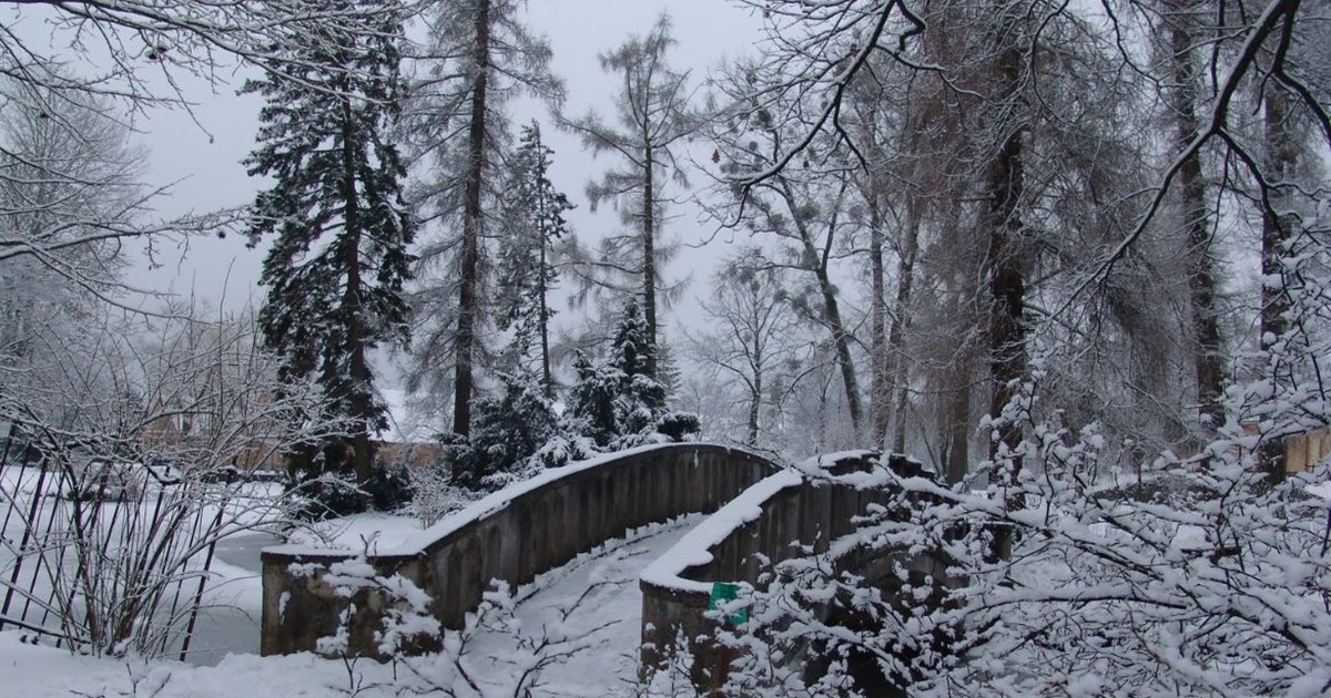 Vitautas Magnus Univerzitet, botanički vrt zimi