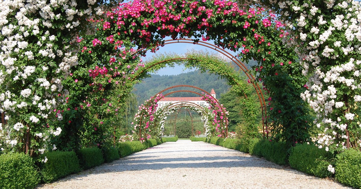 Botanički vrt Univerziteta u Mariboru